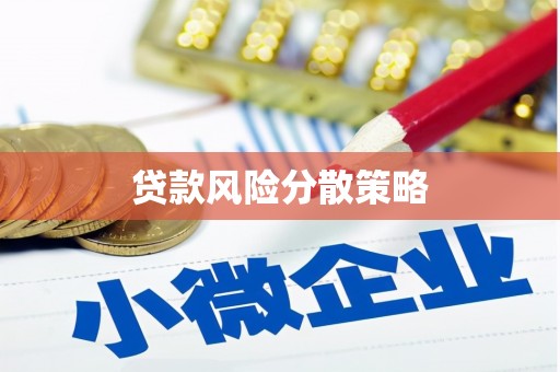 施甸贷款风险分散策略