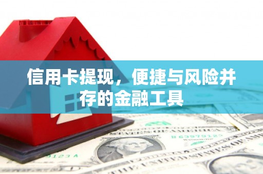 施甸信用卡提现，便捷与风险并存的金融工具