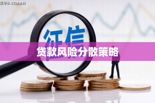 施甸贷款风险分散策略