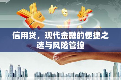 施甸信用贷，现代金融的便捷之选与风险管控