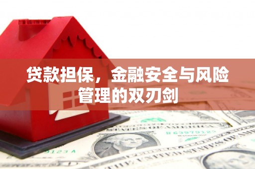 施甸贷款担保，金融安全与风险管理的双刃剑