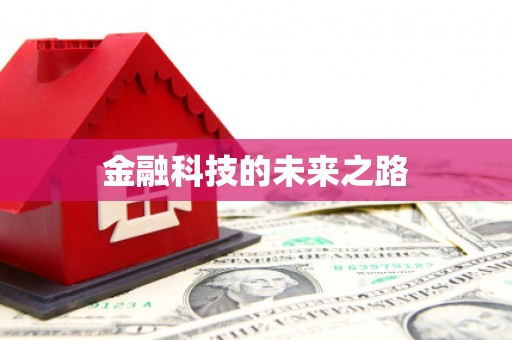 施甸金融科技的未来之路