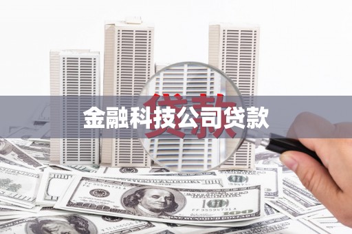 施甸金融科技公司贷款