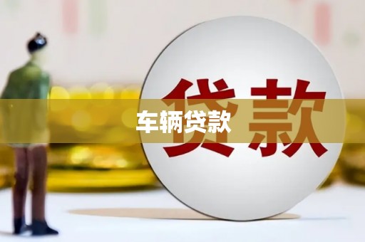 施甸车辆贷款