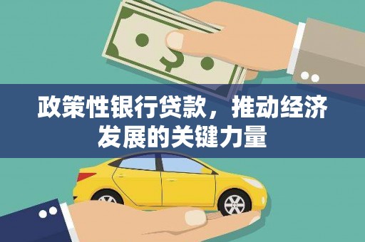 施甸政策性银行贷款，推动经济发展的关键力量