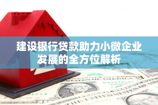 施甸建设银行贷款助力小微企业发展的全方位解析