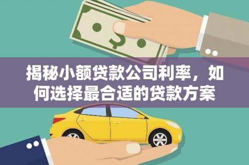 施甸揭秘小额贷款公司利率，如何选择最合适的贷款方案