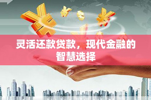 施甸灵活还款贷款，现代金融的智慧选择