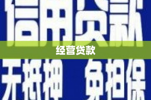 施甸经营贷款