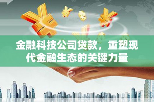 施甸金融科技公司贷款，重塑现代金融生态的关键力量