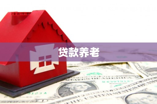 施甸贷款养老