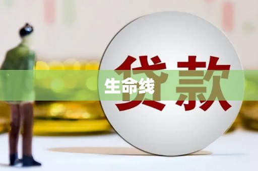 施甸生命线
