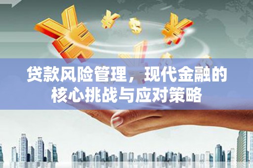 施甸贷款风险管理，现代金融的核心挑战与应对策略