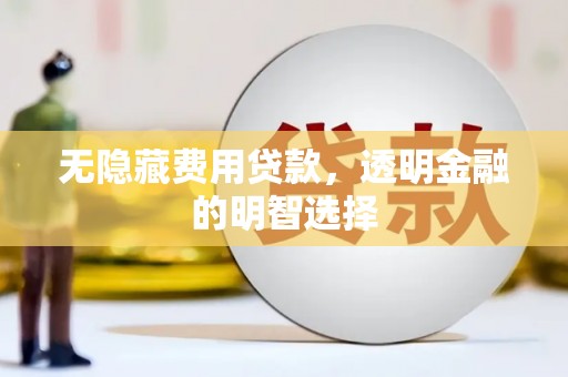 施甸无隐藏费用贷款，透明金融的明智选择