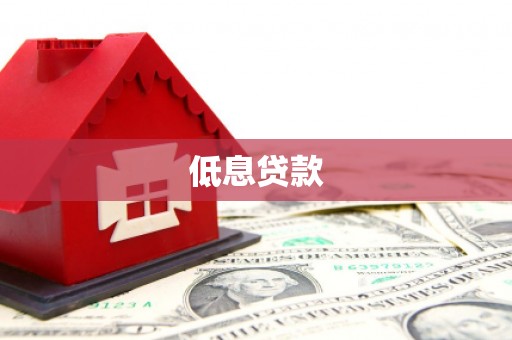 施甸低息贷款