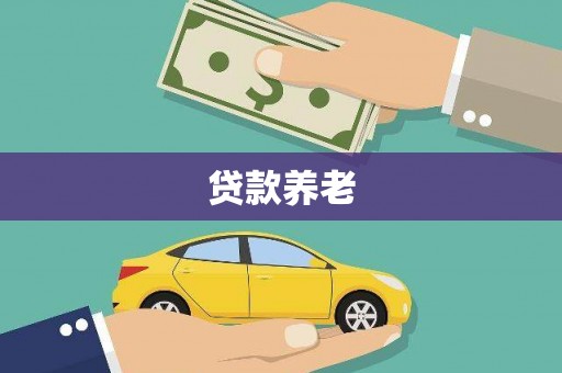 施甸贷款养老