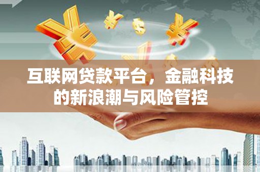 施甸互联网贷款平台，金融科技的新浪潮与风险管控