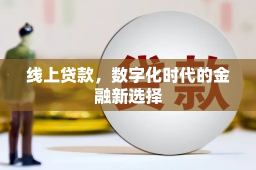 施甸线上贷款，数字化时代的金融新选择
