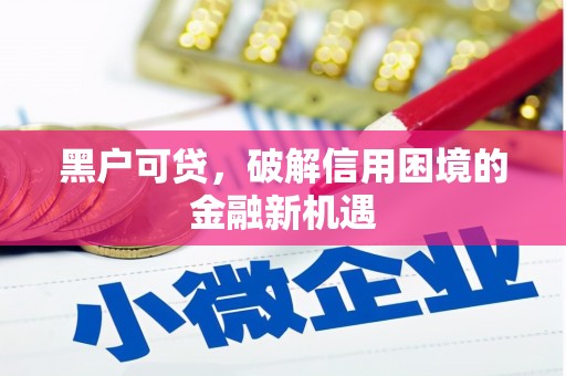 施甸黑户可贷，破解信用困境的金融新机遇
