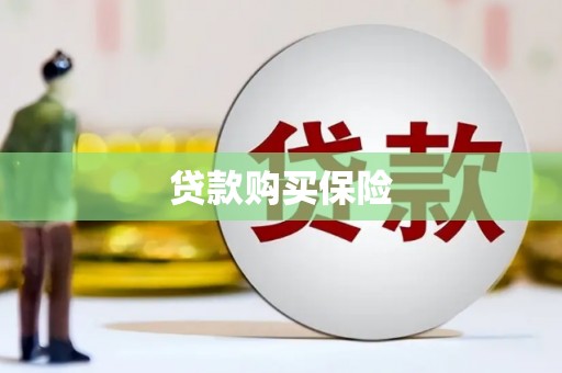 施甸贷款购买保险