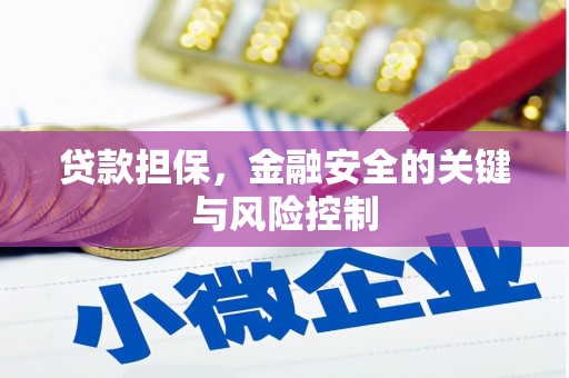 施甸贷款担保，金融安全的关键与风险控制