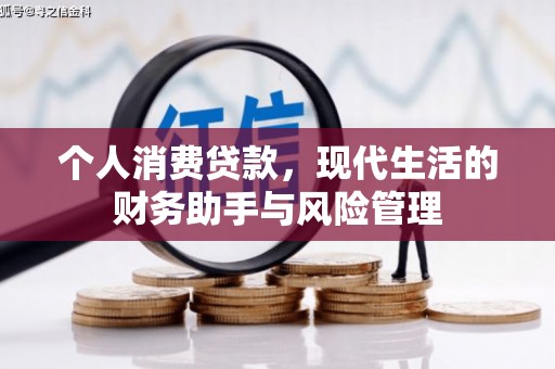 施甸个人消费贷款，现代生活的财务助手与风险管理