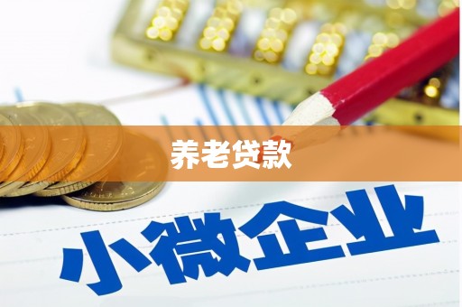 施甸养老贷款