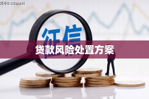 施甸贷款风险处置方案