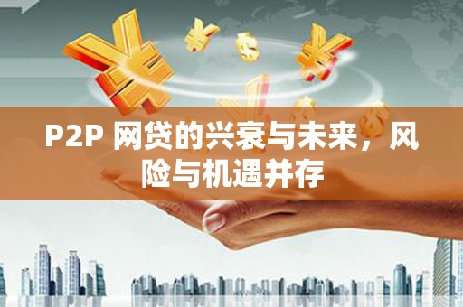施甸P2P 网贷的兴衰与未来，风险与机遇并存