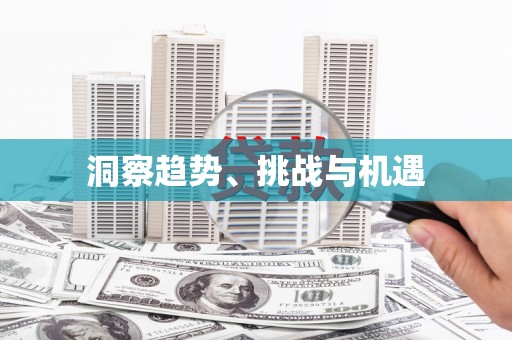 施甸洞察趋势、挑战与机遇