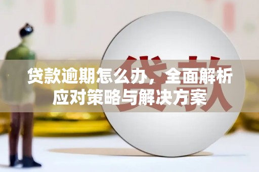 施甸贷款逾期怎么办，全面解析应对策略与解决方案