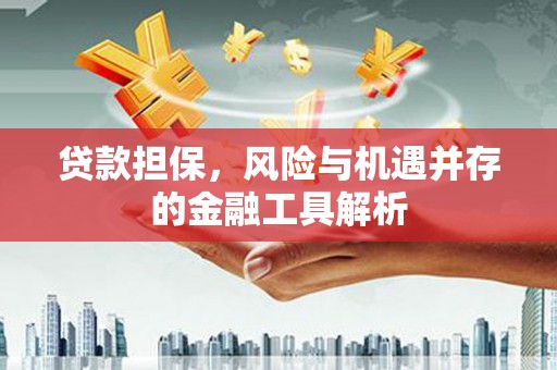 施甸贷款担保，风险与机遇并存的金融工具解析