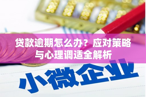 施甸贷款逾期怎么办？应对策略与心理调适全解析