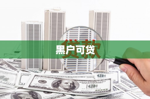 施甸黑户可贷