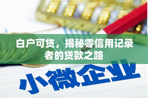 施甸白户可贷，揭秘零信用记录者的贷款之路