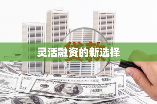施甸灵活融资的新选择