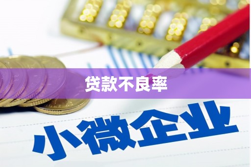 施甸贷款不良率