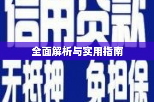施甸全面解析与实用指南