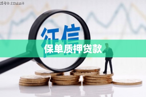 施甸保单质押贷款