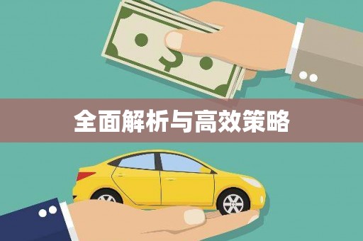 施甸全面解析与高效策略