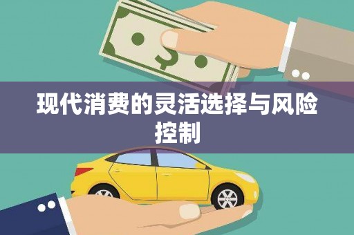 施甸现代消费的灵活选择与风险控制