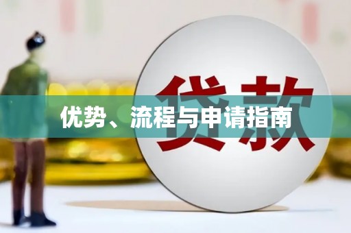 施甸优势、流程与申请指南