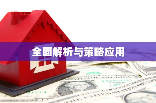 施甸全面解析与策略应用
