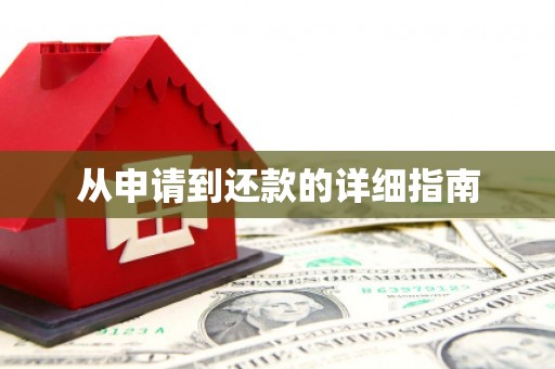 施甸从申请到还款的详细指南