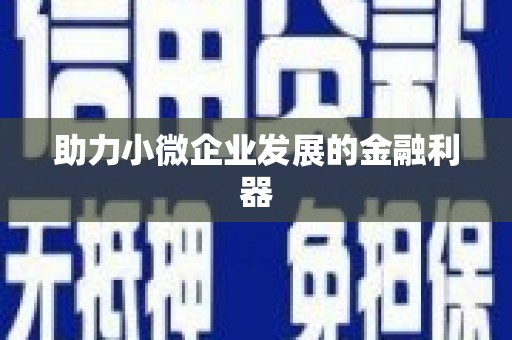 施甸助力小微企业发展的金融利器