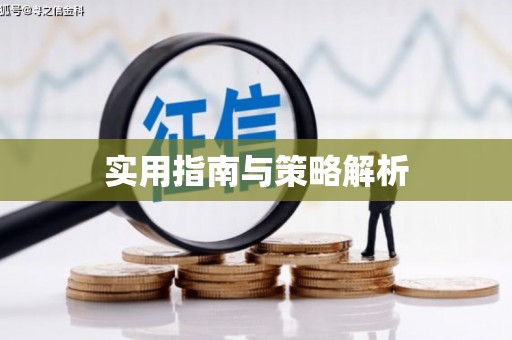 施甸实用指南与策略解析