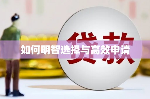 施甸如何明智选择与高效申请