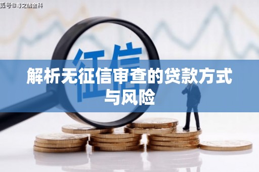 施甸解析无征信审查的贷款方式与风险