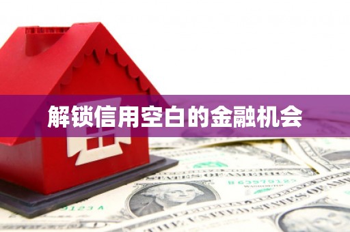 施甸解锁信用空白的金融机会