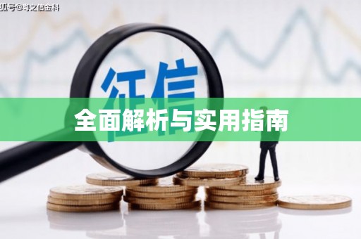 施甸全面解析与实用指南